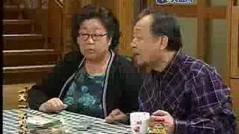 泡菜奶酪微笑,探寻美食与幸福的完美融合